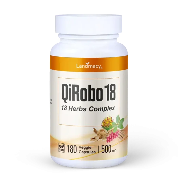 QiRobo18-2026-A QiRobo 18 - Image 2